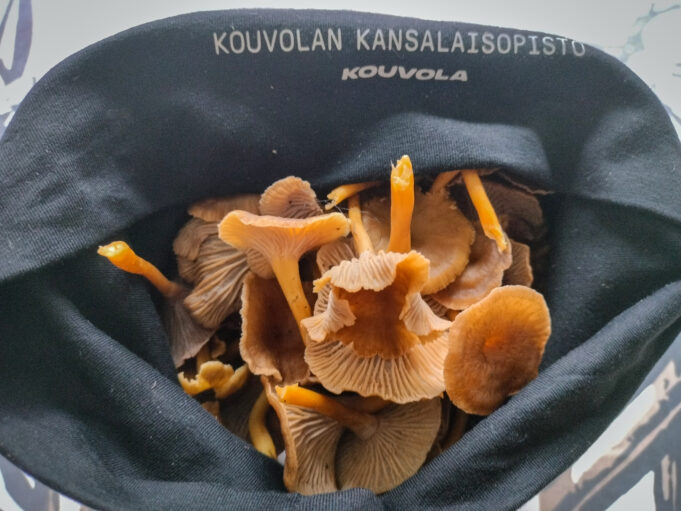 Kuvituskuva, sieniä pipossa